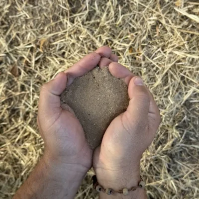 Abono Orgánico - Formato Bolsa