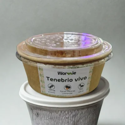 TNBVVO-3